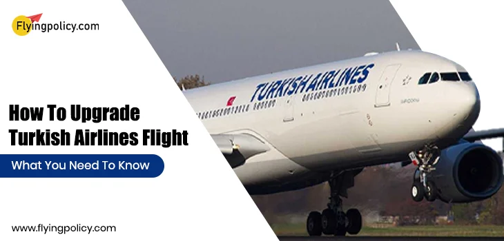 How To Upgrade Turkish Airlines Flight: What You Need To Know